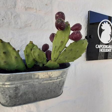 Capodigallo Holiday Trullo Monte Santo 阿尔贝罗贝洛 外观 照片