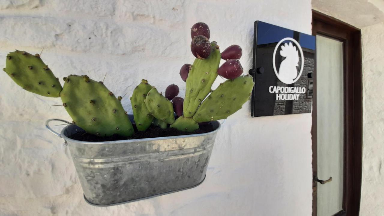 Capodigallo Holiday Trullo Monte Santo 阿尔贝罗贝洛 外观 照片